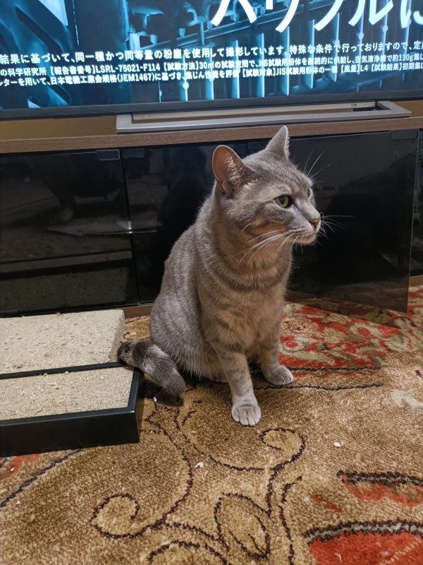 みっくん